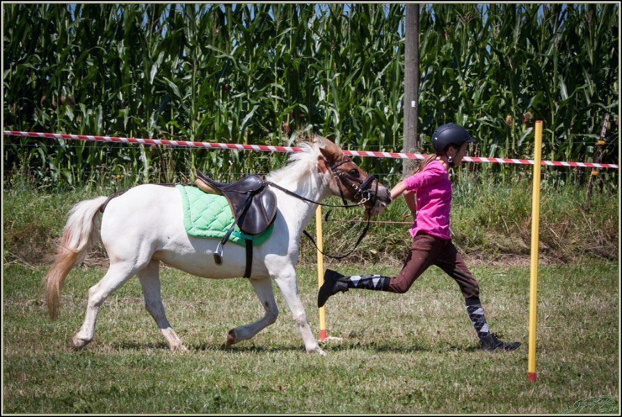 Mounted Games 118